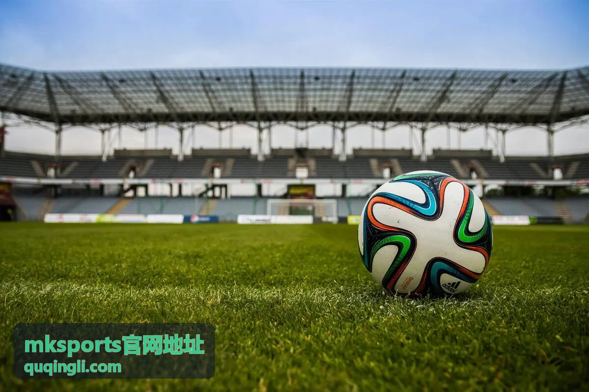 mksports官网地址登记流程说明封面