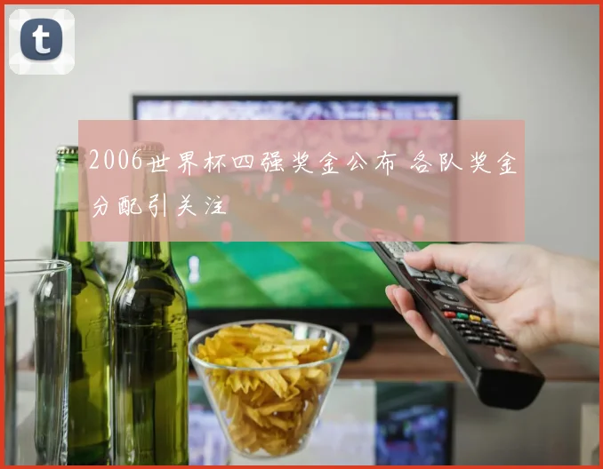 2006世界杯四强奖金公布 各队奖金分配引关注