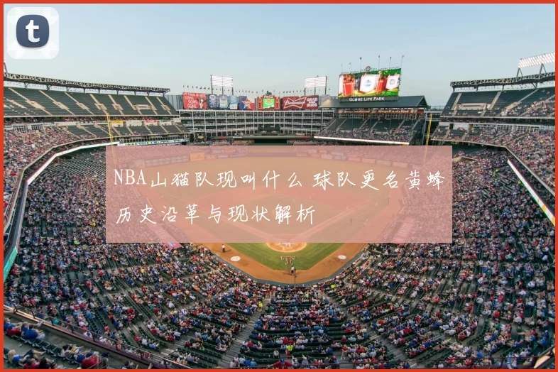 NBA山猫队现叫什么 球队更名黄蜂历史沿革与现状解析