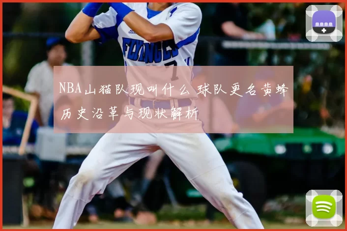 NBA山猫队现叫什么 球队更名黄蜂历史沿革与现状解析