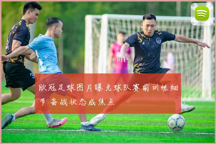 欧冠足球图片曝光球队赛前训练细节 备战状态成焦点