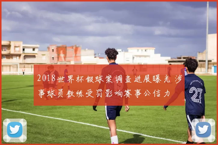 2018世界杯假球案调查进展曝光 涉事球员教练受罚影响赛事公信力