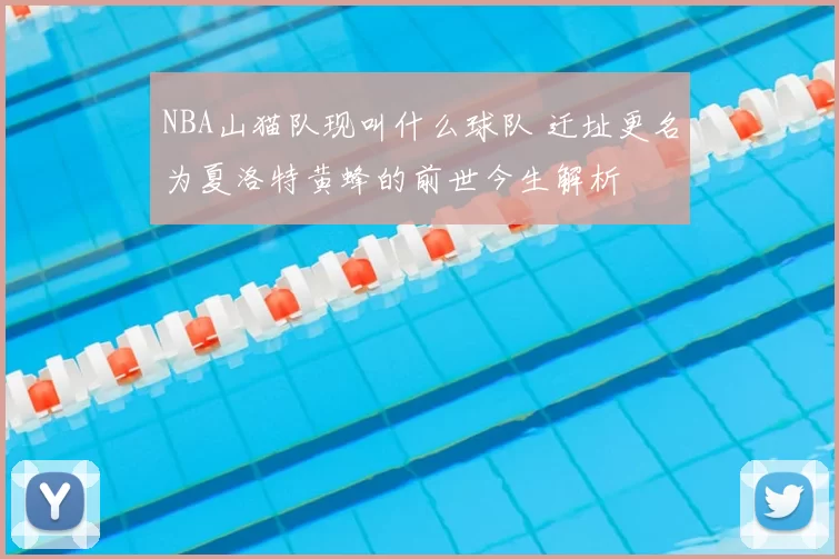 NBA山猫队现叫什么球队 迁址更名为夏洛特黄蜂的前世今生解析