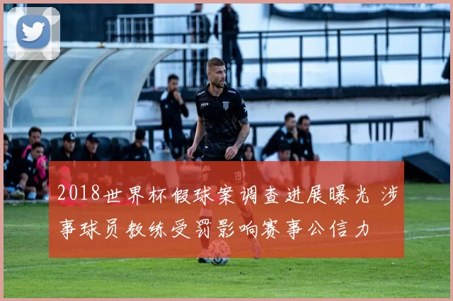 2018世界杯假球案调查进展曝光 涉事球员教练受罚影响赛事公信力