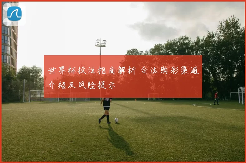 世界杯投注指南解析 合法购彩渠道介绍及风险提示