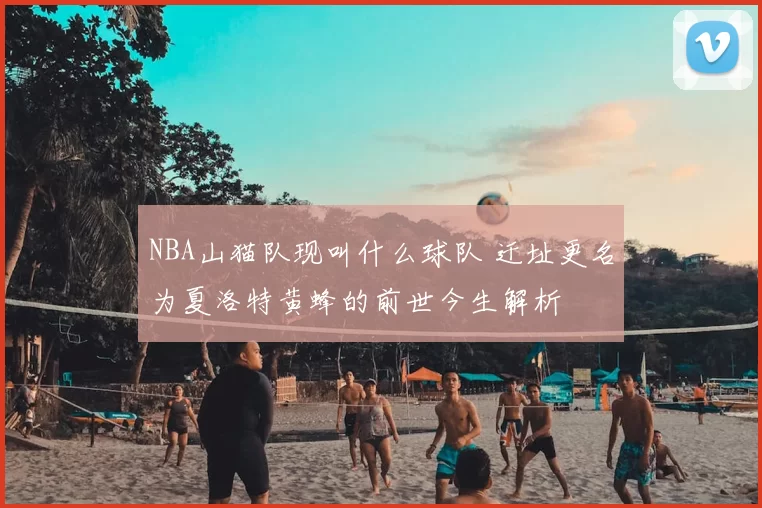 NBA山猫队现叫什么球队 迁址更名为夏洛特黄蜂的前世今生解析